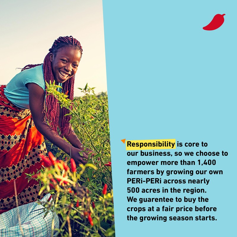 Nandos PERi PERi Hot Sauce - Spicy Sauces, Seasoning or