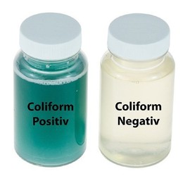 AquaNatura Water Test for Coliform Bacteria with E.coli Check (1 Test)