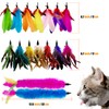 CATENEED Cat Feather Toys Refill Cat Wand Replacement Feathers, 16