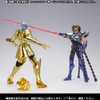Saint Cloth Myth EX - Parts Effect Set (Phoenix &