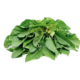 “Green Leaf” Amaranth Seeds – Mild Chinese Spinach aka Xian CAI – Amaranthus mangostanus ‘Lu Hsien’ | Never GMO, Always Heirloom and Open-Pollinated | USA Grown Seeds by Liliana's Garden |