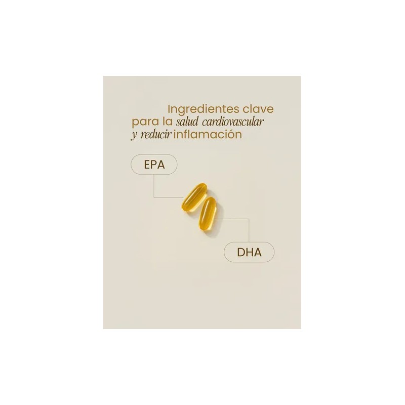 Omega 3 Support 1200 Mg Epa + Dha Epax Libre
