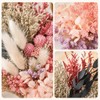 Natural Dried Flowers for Crafts, Colourful Flower Kit for Resin