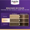Palette Tinte para cabello Color Creme Rubio Oscuro 6-0, 50