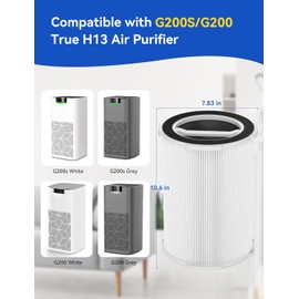 2 Pakcs G200/G200S Air Purifier Replacement Filter, Fit for G200S/G200 Air Purifier, 3-in-1 H13 Ture HEPA and Activated Carbon Air Filter for Pet Hair Dander Pollen Smoke Odor Dust Kitchen Smells