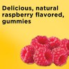 Nature Made Iron 18 mg per serving Gummies with Vitamin