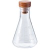 HARIO SFS-M Triangle Flask Costker, M, Clear