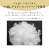 Alpha Shoulder Pillow, Shoulder Cushion, Polyester, FULUWA Doctor's Shoulder Futon