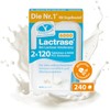 Lactrase 6,000 Click Dispenser – 2 x 120 Lactase Tablets