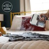 Steamfast NOMAD Travel-Size Garment Steamer for Clothes, Curtains, and Fabric,Chemical