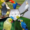 Shengsenfu Automatic Bird Water Dispenser, Parrot Feeder, Bird Cage Suspended