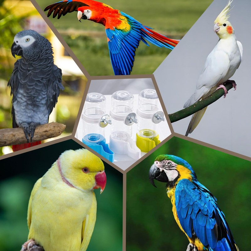 Shengsenfu Automatic Bird Water Dispenser, Parrot Feeder, Bird Cage Suspended