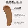 Dermablend Cover Care Concealer, 73W