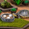 DQITJ 18 Pcs Small Reptile Calcium Stone Natural Calcium Mineral