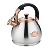 Tea Kettle Stovetop Whistling Kettle Teapot, 3Quart Tea Pot Stainless