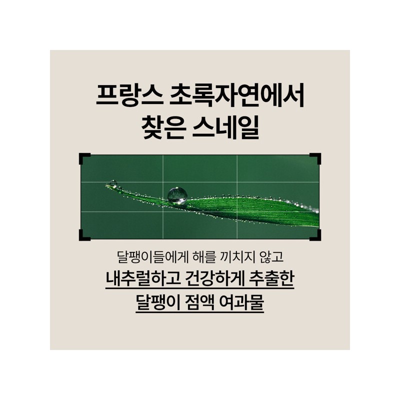 Nature Republic (현대Hmall)네이처리퍼블릭 스네일 솔루션 2종 기획세트 (안티에이징) (Nature Republic)