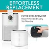 Filter Replacement for H250 HEPA-13 Air Purifier | 2-Pack