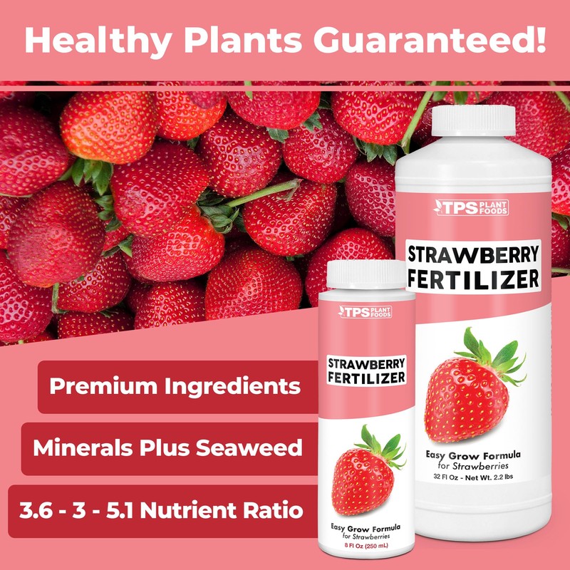 Strawberry Fertilizer for Fruit and Berry Gardens, Liquid Plant Food,