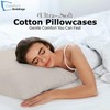 Comfort Beddings 100% Organic Cotton Standard Pillowcases Set of 2,
