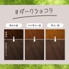 Liese Bubble Color Dark Chocolat Hair Color for Black Hair