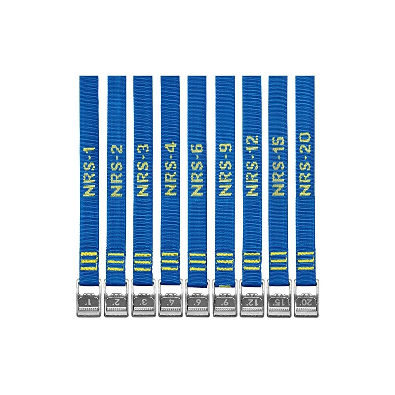 NRS 1" Heavy Duty Tie Down Strap 4 Pack-IconicBlue-12ft