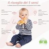 Sophie la Girafe - Fanfan il Cerbiatto - Dalla Nascita