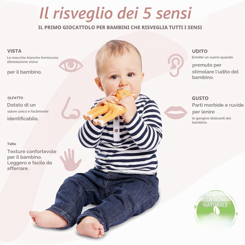 Sophie la Girafe - Fanfan il Cerbiatto - Dalla Nascita