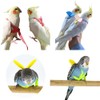 FORZENA Birds Adjustable Harness and Leash, Parrot Outdoor Flying Training