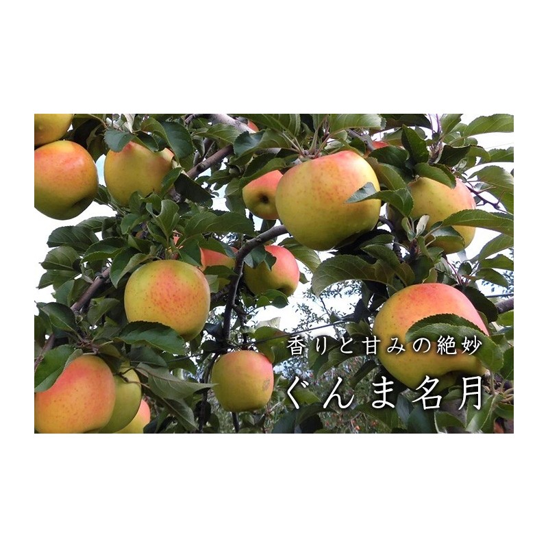 Santiam Nursery Japanese Gunma Honey Apple Tree, Bare root,