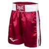 EVERLAST 23 in boxing trunks large