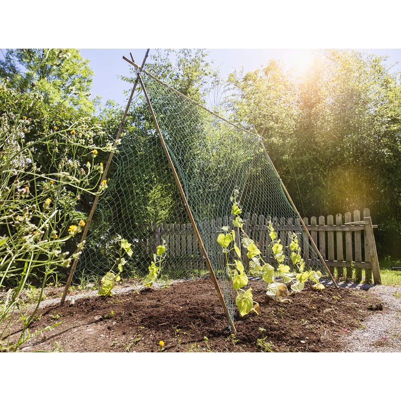 Windhager Trellis Net for the Perfect Growth of Cucumbers, Tomatoes