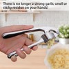 Garlic Press Stainless Steel - Garlic Press Kitchen Aid with