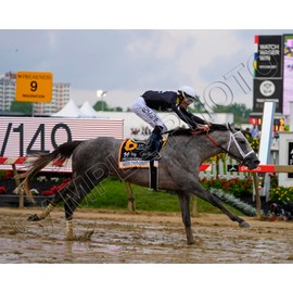 SPORTSPHOTOSUSA Seize The Grey 2024 Preakness Stakes Winner Jaime Torres Up 8x10 Photo