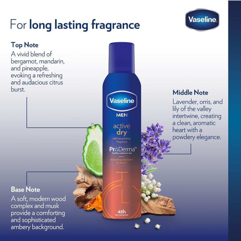Vaseline Men Active Dry 48h 250ml (Pack of 3)