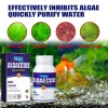 Yegbong Algae Remover Moss Remover Aquarium Algae Remover Moss Remover