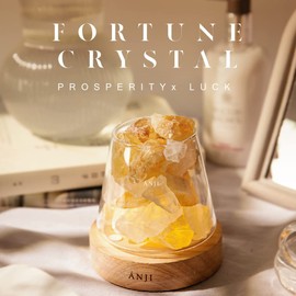 ANJI Crystal Salt Lamp with Dimmer Switch 2.2-2.5 lbs Citrine
