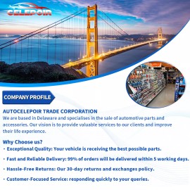 Ford 2X Genuine Ford E350 Super Duty 3 Point Safety Adjustable Seat Belt Straps Car