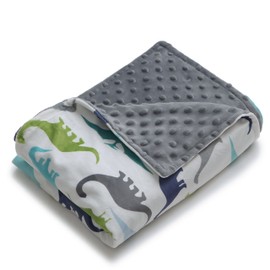 YnM Minky Duvet Cover for Weighted Blankets (Dinosaur, 41''x60'')