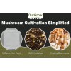 Out-Grow 50/50 Straw & Manure Mushroom Substrate (1 lb Bag)