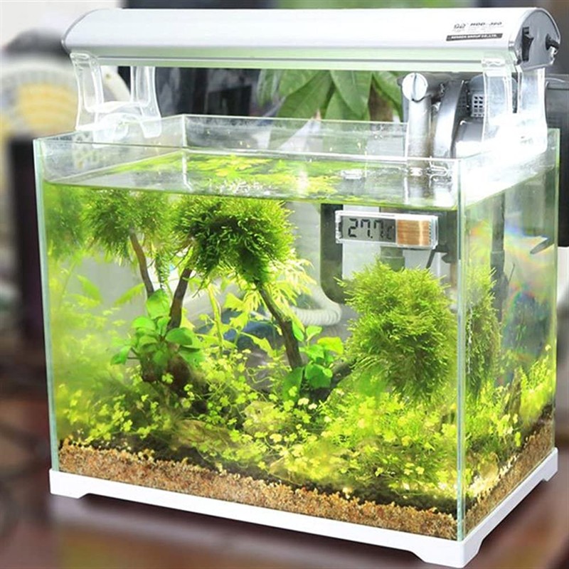 CENPEK LCD Digital Thermometer with Suction Cup Aquarium Water Temperature