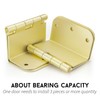 goldenwarm 3 Pack Gold Swing Clear Expandable Door Hinges 3.5inch