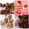 DOITOOL Set of 50 Dried Pine Cones Decorative Artificial Pine
