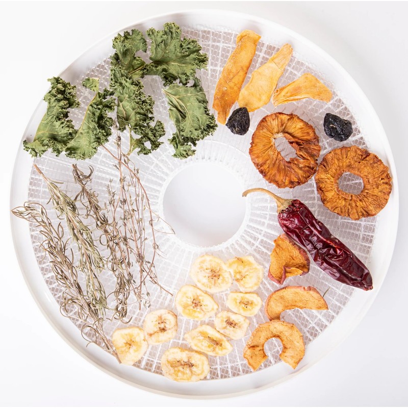 2 Fruit Leather Silicone Dehydrator Sheets with EDGES - NON-Toxic