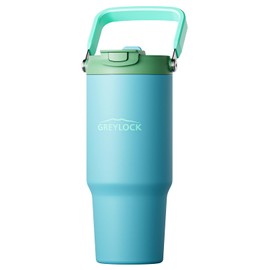 Greylock 30 oz Insulated Tumbler with Top Handle, 2-in-1 Flip Straw & Spout Lid