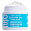 SeoulCeuticals Hyaluronic Acid Jelly Face Mask – Anti-Aging & Hydrating