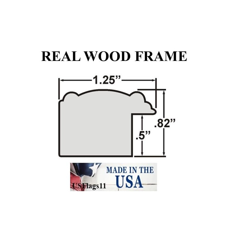 Framed American Revolutionary War Rattlesnake Flag...Gadsden Flag. Patriotic Wall Decor