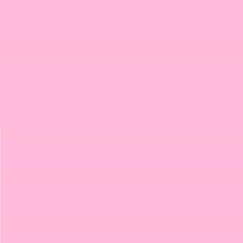 Pack of 2 Lee No. 153 Pale Salmon - 24 x 24 cm Transparent Heat Resistant Coloured Film for Photo Studio PAR 64 Headlight - Gel Colour Filter Film (Pack of 2, Lee 153 Pale Salmon)