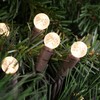 Northlight LED G12 Berry Christmas Lights - 16' Brown Wire