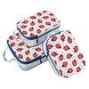 ALAZA Compression Packing Cubes for Suitcases 3 Set, Strawberry Hand