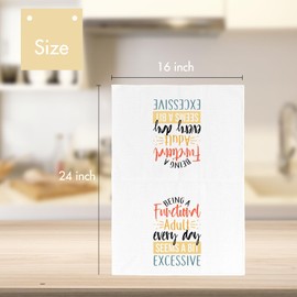 Joyriza Funny Kitchen Towels, 16"x24" Dishcloth for Home Bathroom Decor, Sarcastic Humorous Gifts for Women Men, Hand Towel with Saying-Being A Functional Adult Every Day Seems a Bit Excessive